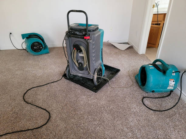 Water damage restoration mold remediation in Union Hall, VA