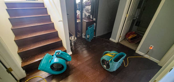 Best Basement water damage restoration  in Union Hall, VA