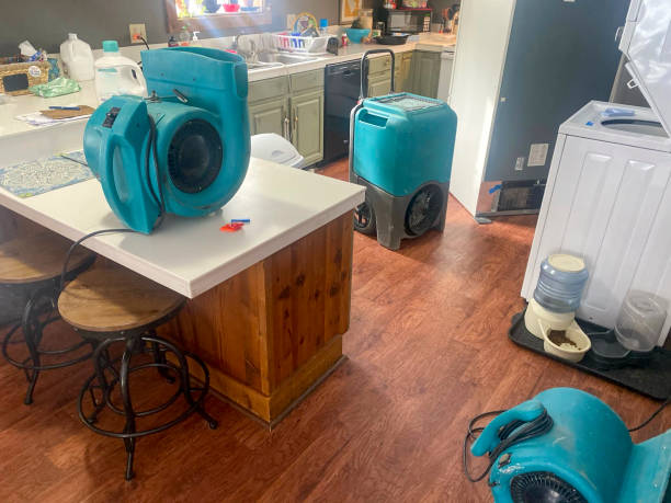 Best Water damage cleanup near me  in Union Hall, VA