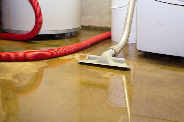 Union Hall, VA Water damage restoration Company