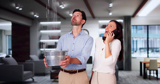 Best Ceiling water damage repair  in Union Hall, VA